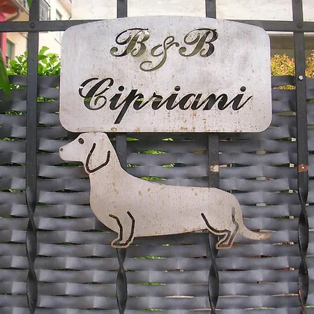 Cipriani Frühstückspension